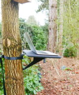 Floating Tree Desk Black S